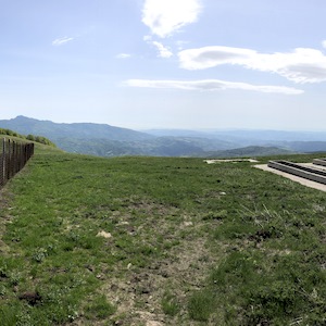 coltivazione di genziana ad alta quota Sottoterra in Abruzzo